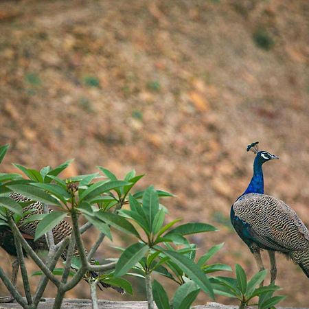 Open House By Stayvista - Nestled In Nature, Featuring A Swimming Pool & Expansive Lawn For A Serene Retreat Shikrapur Extérieur photo